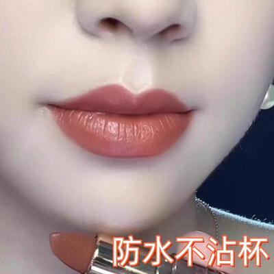 推荐不沾杯不掉色肉桂奶茶豆沙胡萝卜口红唇釉滋润显白防水