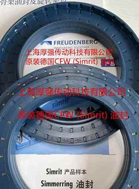 德国CFW组合油封MSS7LR115-110/150-22#RWDRKOMBI110-170-12/22