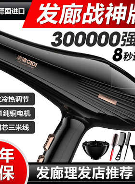 发廊专用电吹风机家用理发店大功率负离子护发3000W速干冷热风筒