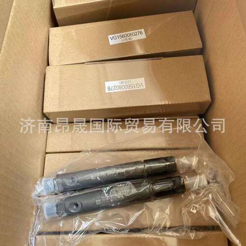 重汽HOWO 欧二WD615发动机配件VG1560080276喷油器总成 外贸出口