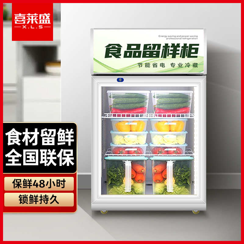 喜莱盛食品留样柜商用展示柜冷藏 酒店客房办公室幼儿迷你小冰箱9