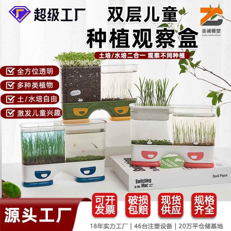 儿童种植小盆栽摆件发芽植物水培土培花盆迷你农场根系生长观察窗