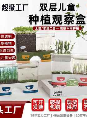 儿童种植小盆栽摆件发芽植物水培土培花盆迷你农场根系生长观察窗