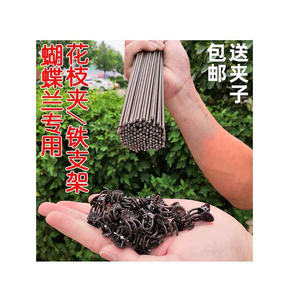 蝴蝶兰支架支撑杆造型架子园艺花卉花枝夹子蔓藤爬藤植物固定夹子,鲜花速递/花卉仿真/绿植园艺,其它园艺用品,淘宝优惠券,粉丝福利购,淘宝优惠卷