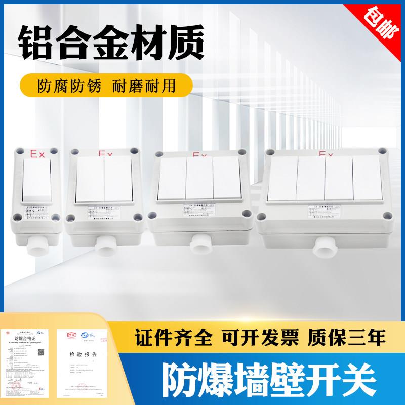 防爆墙壁开关 照明开关 转换开关 防爆开关BQM-1开2开3开双切防水