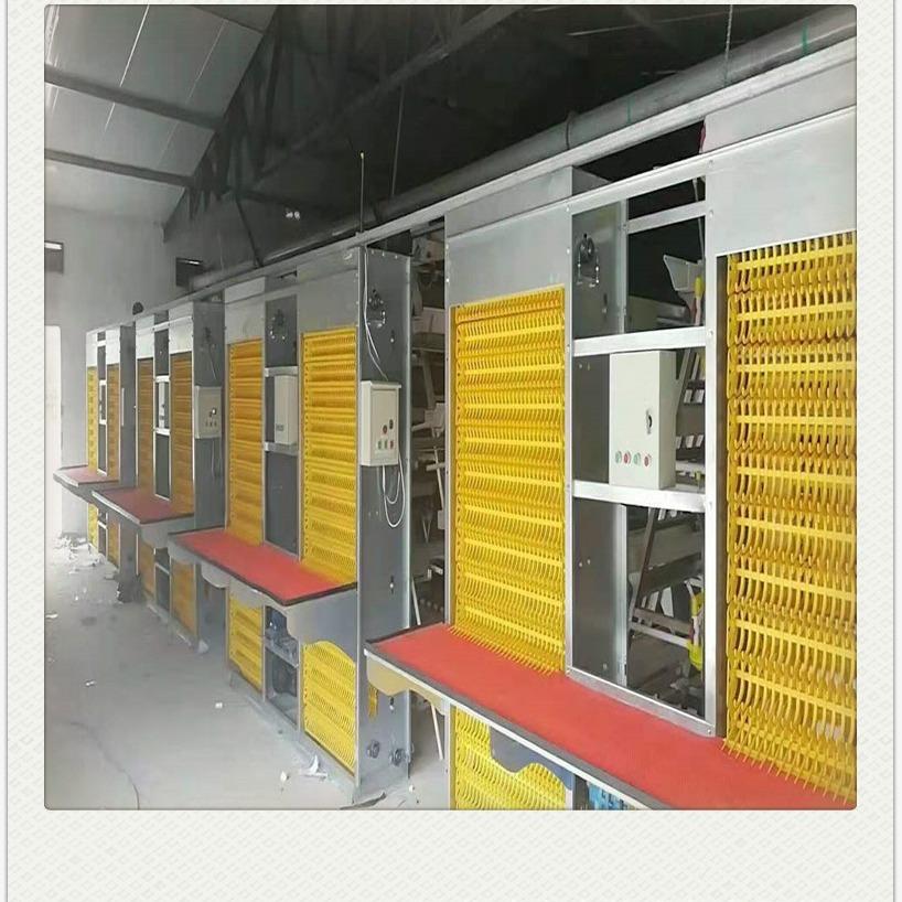 鸡笼子鸡舍养殖小层叠全自动蛋鸡笼喂料鸡舍自动捡蛋集蛋鸡笼设备