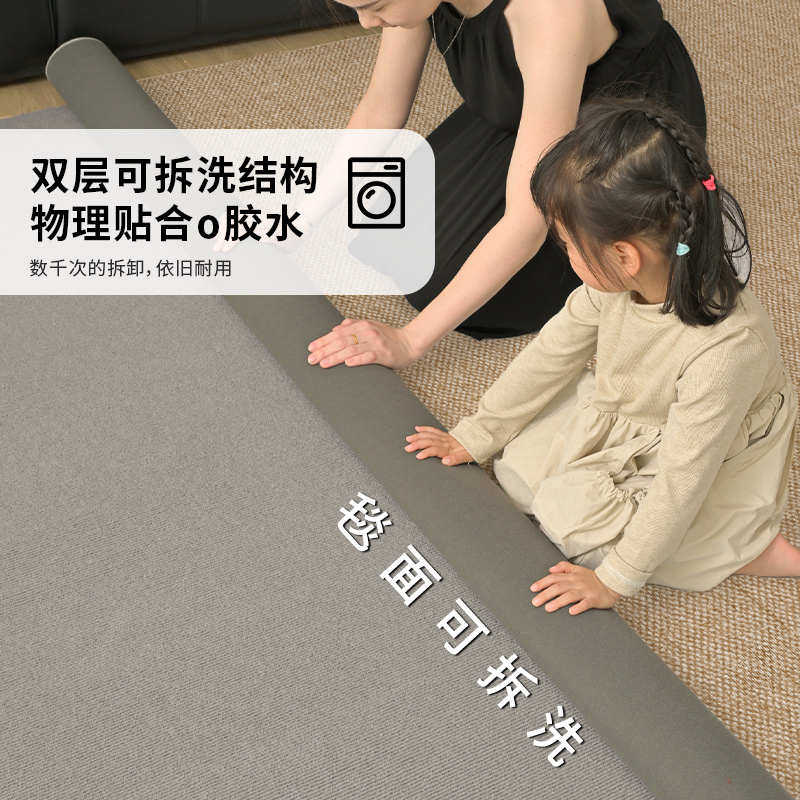 大面积双层纯色地毯茶几拆洗易地简约家用全毯可打理铺沙发客厅垫,居家布艺,地毯,淘宝优惠券,粉丝福利购,淘宝优惠卷