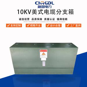 厂家现货供应成套设备箱式开闭所分接箱10KV美式高压电缆分支箱