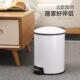 欧式 带盖 垃圾桶家用客厅卧室卫生间厨房创意有盖大号不锈钢脚踏式
