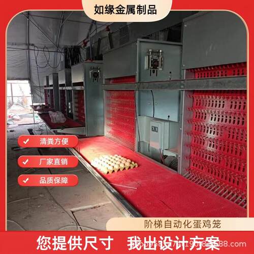 三层四层白槽绿槽蛋鸡笼全自动阶梯式鸡笼自动化养殖设备养鸡笼