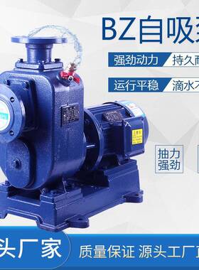 卧式管道离心泵BZ自吸泵大流量高扬程抽水泵380v三相循环