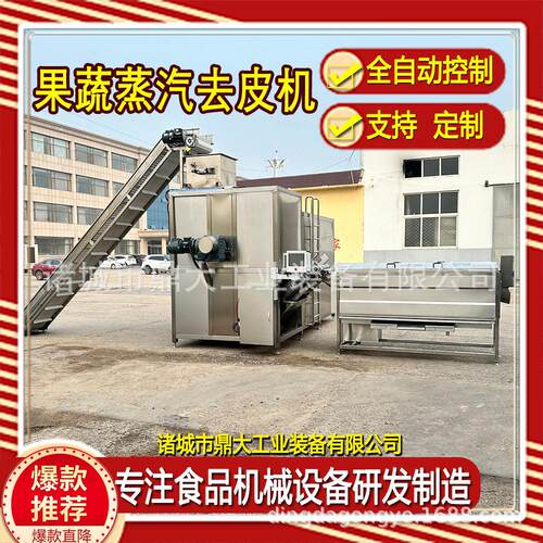 全自动西红柿蒸汽去皮机 圣女果通用型 快速去皮不伤果肉支持定制