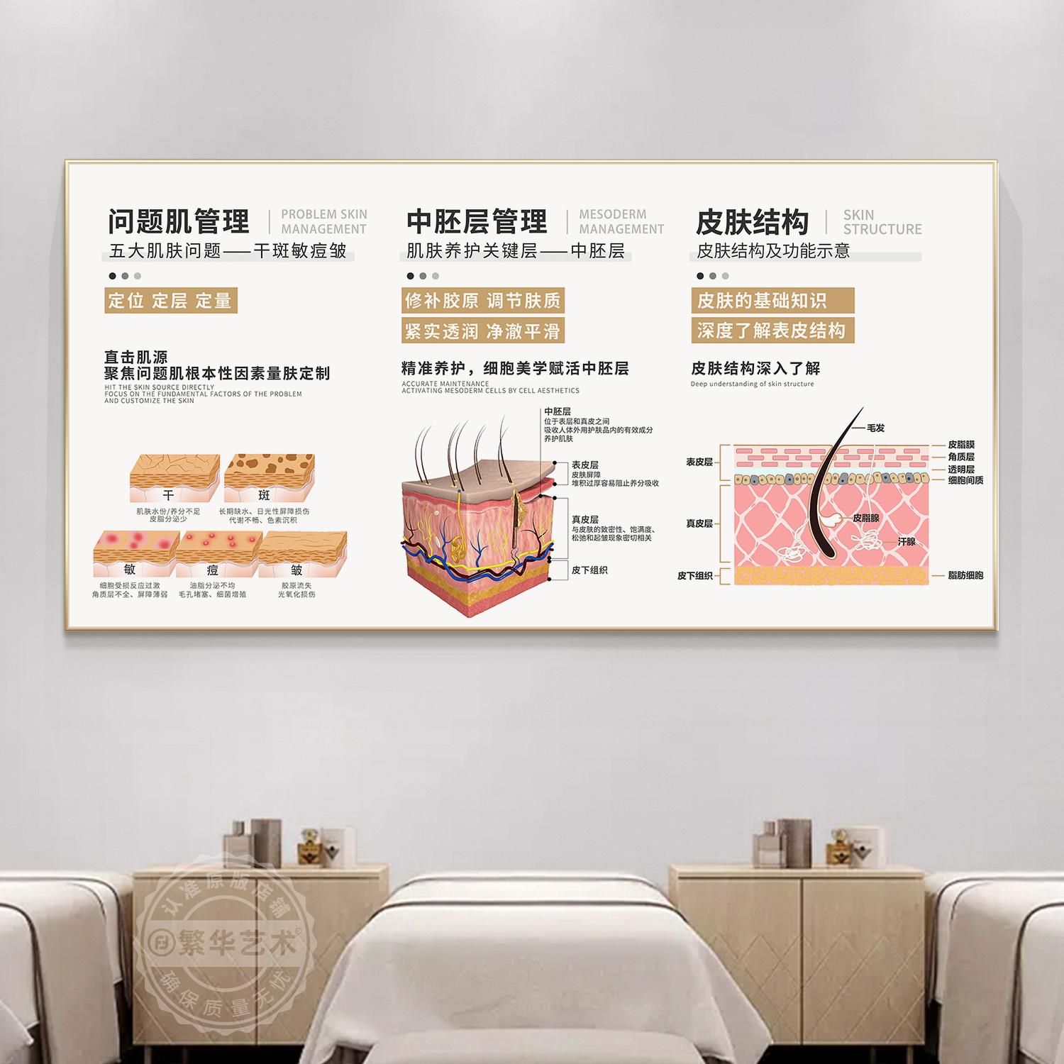 皮肤管理原理剖析挂画医美机构装饰画美容院咨询面诊室宣传广告画