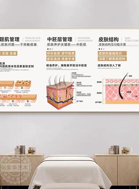 皮肤管理原理剖析挂画医美机构装饰画美容院咨询面诊室宣传广告画