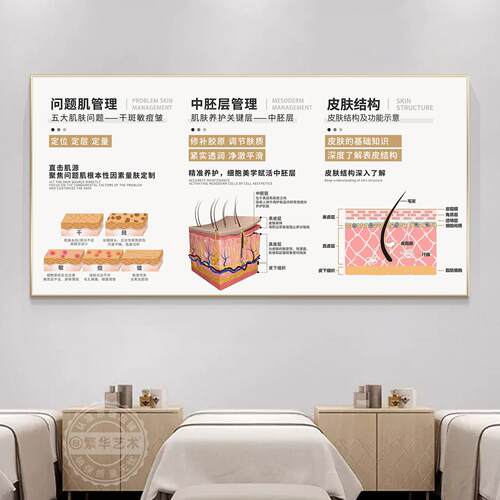 皮肤管理原理剖析挂画医美机构装饰画美容院咨询面诊室宣传广告画