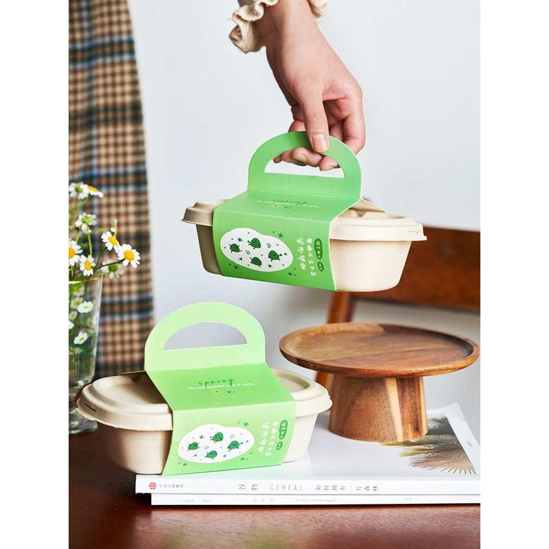 创意6粒青团提手烘焙手工马卡龙寿司沙拉三明治野餐手提纸浆盒子