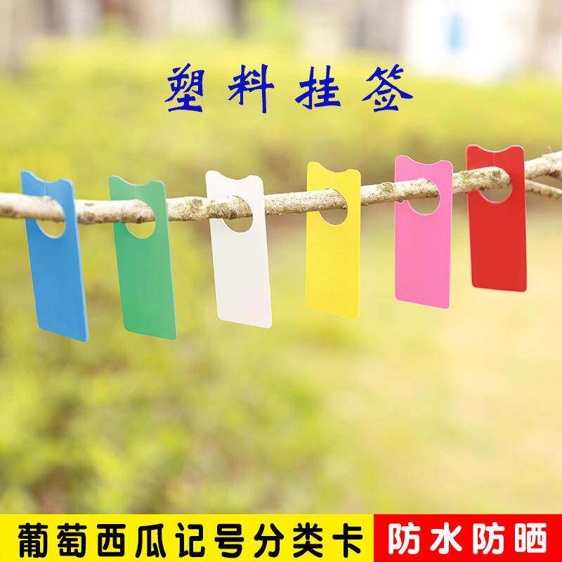 瓜果葡萄西瓜记号牌标签标记卡标记牌甜瓜分批色卡保花保果标记牌