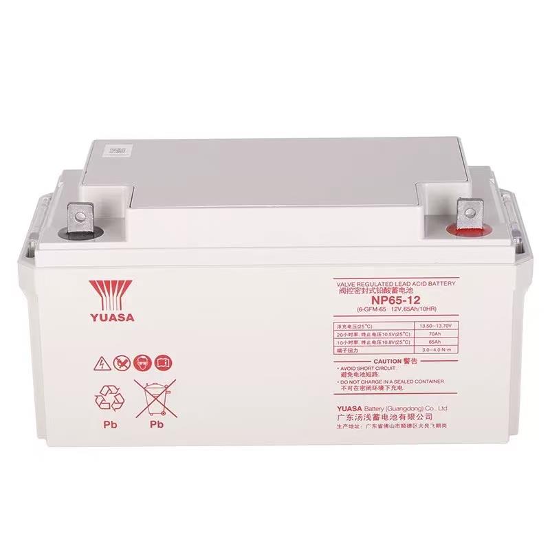 汤浅铅酸免维护蓄电池NP100-12 12V100AH/210AH消防应急UPS电源
