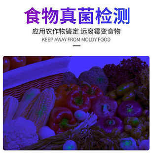 黄曲霉素测试荧光剂检测笔紫光灯照霉菌鉴定防蓝光紫外线验钞手电