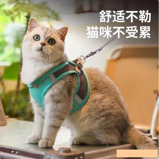 蓝猫牵引绳背心胸背可调节英短蓝白猫遛猫绳子防挣脱专用外出炼子