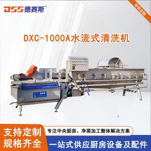 供应食品/饮料加工定制及餐饮行业设备DXC-1000A水流式清洗机