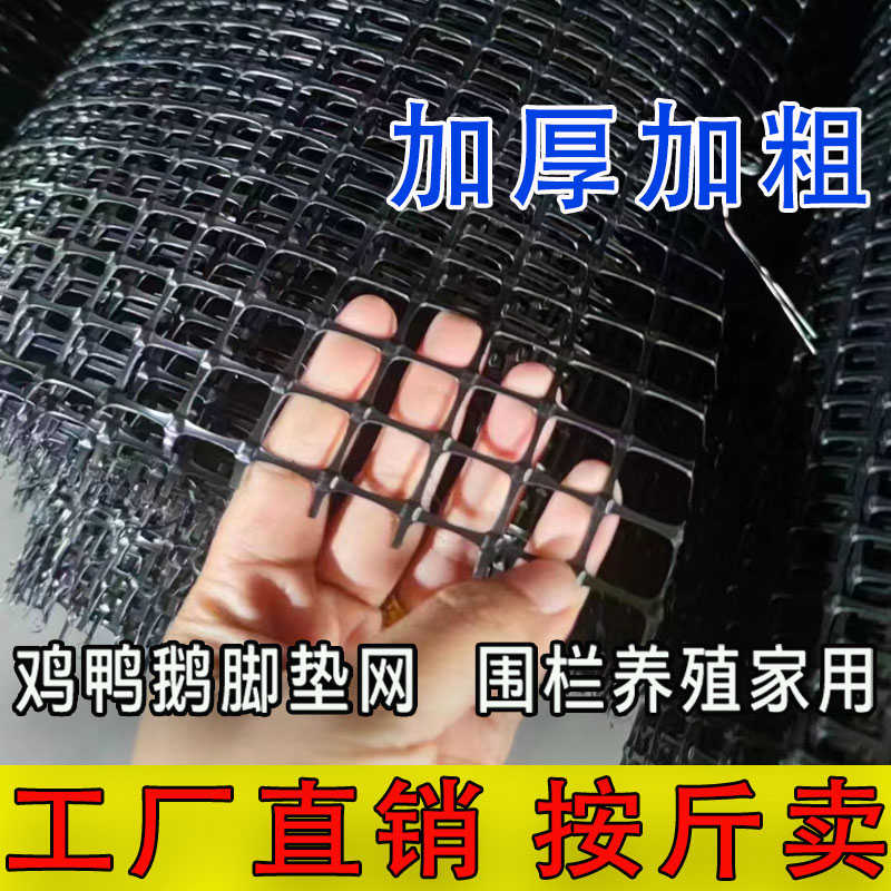 小孔塑料养殖网防鸟网鸡鸭鹅育雏网床漏粪耐用耐磨防腐蚀围栏防护