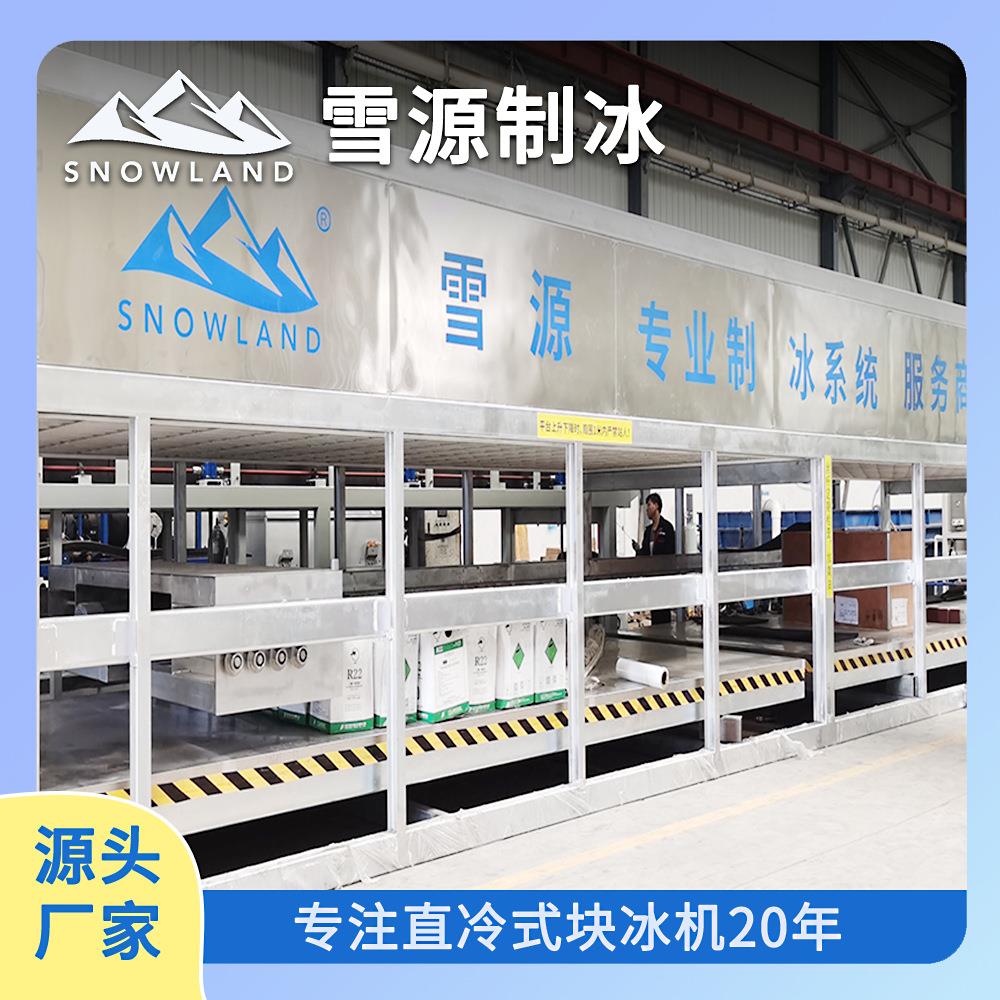 雪源35吨大型直冷式块冰机 工地车间降温蔬果保鲜大型制冰设备机