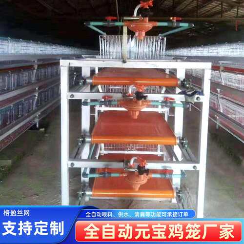全自动元鸡笼立体式全自动喂食蛋鸡笼自动清粪喂养镀锌养殖笼
