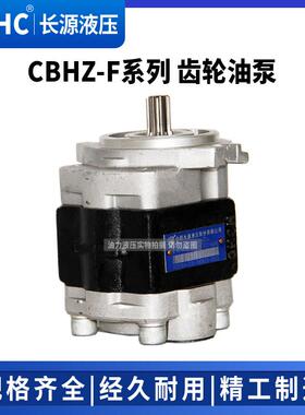 齿LXB轮油泵C0BHZ-F2压F26.5F3F332F36-ALφV液泵
