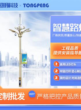 5G智慧路灯城市道路带监控一体化LED信息屏路灯新农村智慧路灯