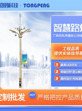 5G智慧路灯城市道路带监控一体化LED信息屏路灯新农村智慧路灯