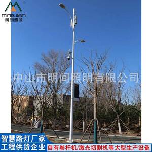 工厂供应视频监控环境监测通讯智慧路灯灯杆5G通信塔杆加工防水