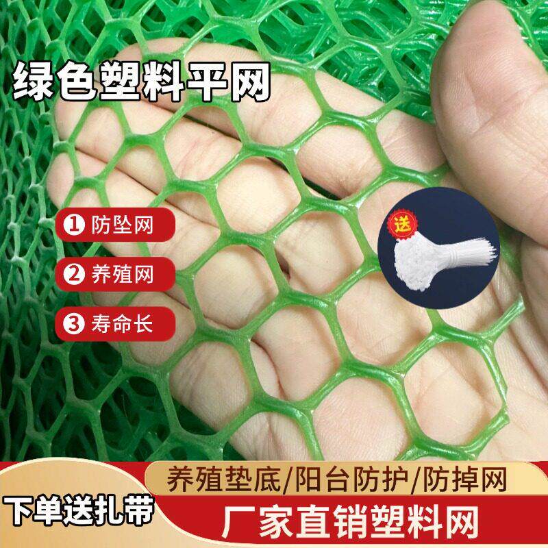 绿色塑料网养殖网育雏网漏粪鸡鸭鹅垫脚网防晒鱼塘隔离阳台防护网