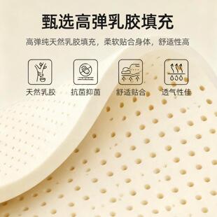 乳胶记忆床垫遮盖物家棉用卧子室软垫18095x2生00褥垫被学宿舍单