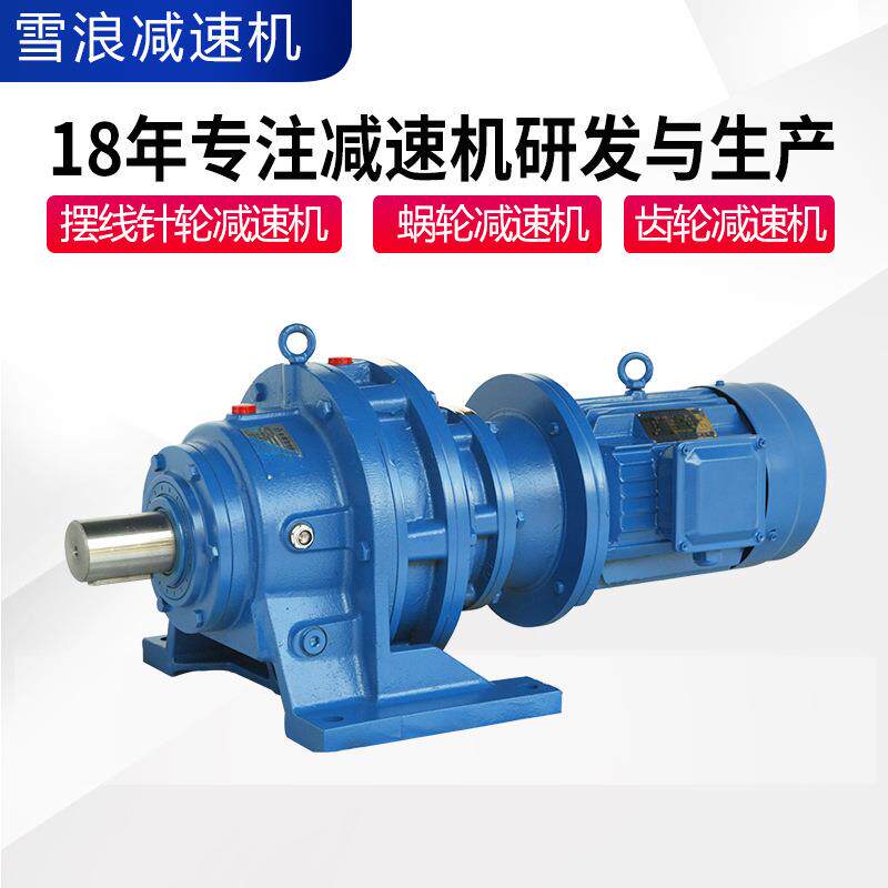 广东雪浪斜齿轮速器卧式摆线针速机bld立式bx系列型号厂家