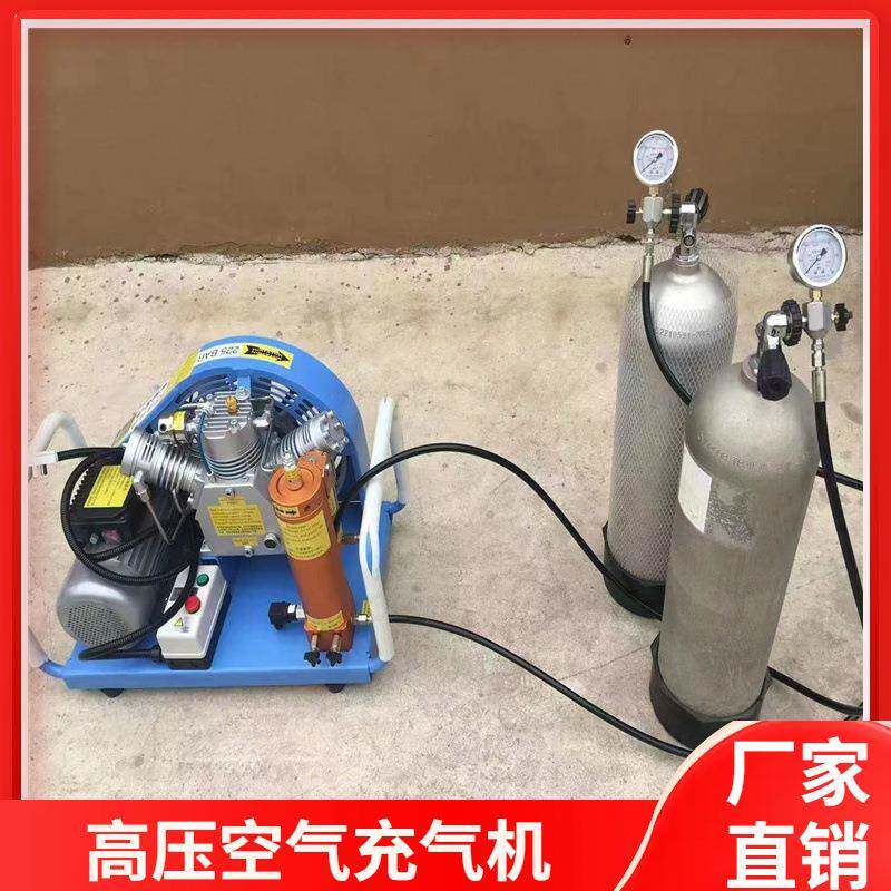 MSA300TG高压呼吸空气压缩机380V7.5KW双气瓶空气充气机