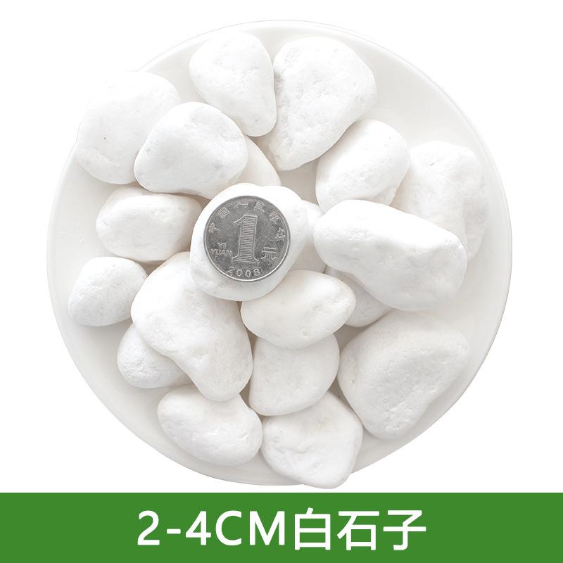 鹅卵石白色石子石子石头石头粗沙