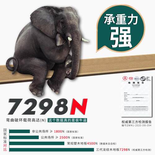 塑木地板外别墅庭园院花接阳台二代共挤木塑室外露台拼WJP防腐地