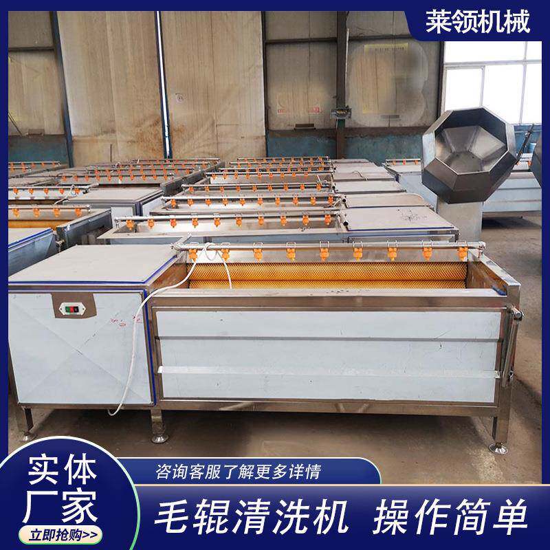 海蛎子毛刷去泥机板栗红薯毛辊去皮机器商用中草药材毛辊清洗设备