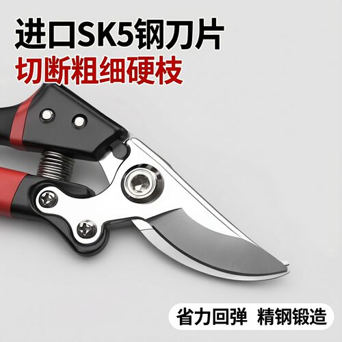 进口SK5刀片果枝剪各种粗枝剪刀片园林大力剪刀片铝块树枝剪配件
