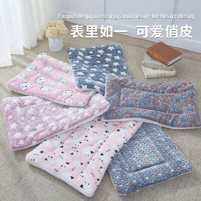 Thickened Pet Sleeping Pad for Autumn and Winter, Warm Floor