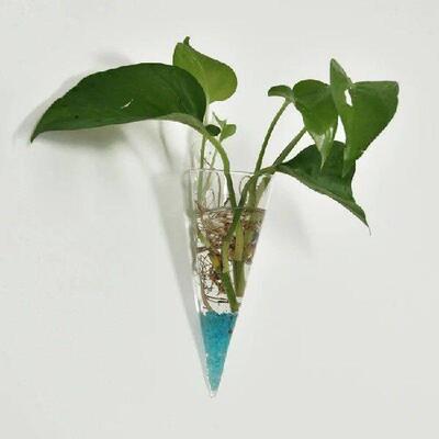 1Piece Hanging Glass DIY Bottle Pot Flower Plant Vase High