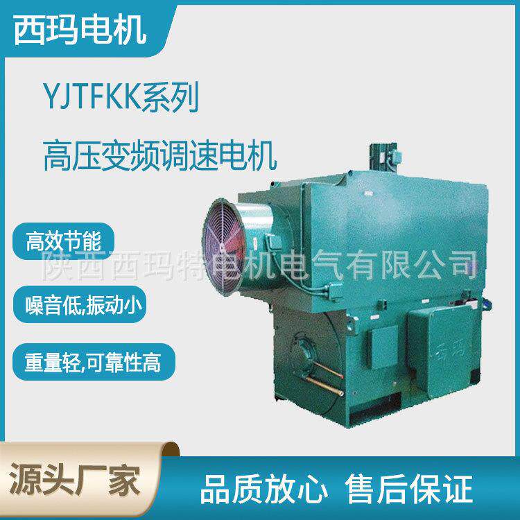 西安电机YJTF800-6极2800W10V压变频三相异步电动机厂图片