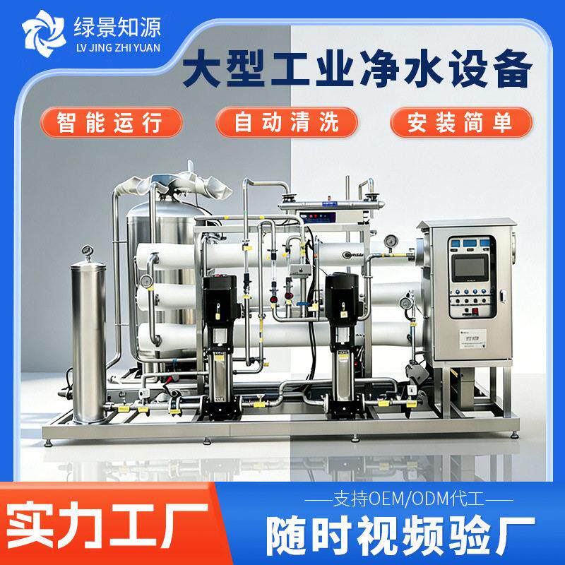 大型工业双级反渗透设备去离子水处理净化水设备全自动纯水设备
