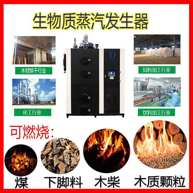 燃生物质蒸锅炉 生物质锅炉蒸DD-0.3-0汽锅水炉暖汽殖大棚养供暖