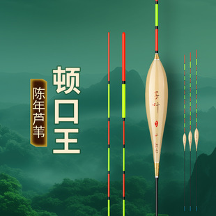 鱼鳔竞技高档带壳芦苇浮漂顿口行程高灵敏醒目加粗鱼漂高敏