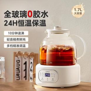 lotor小圆吨养生壶全玻璃家用小型办公室炖煮一体煮茶器2025新款