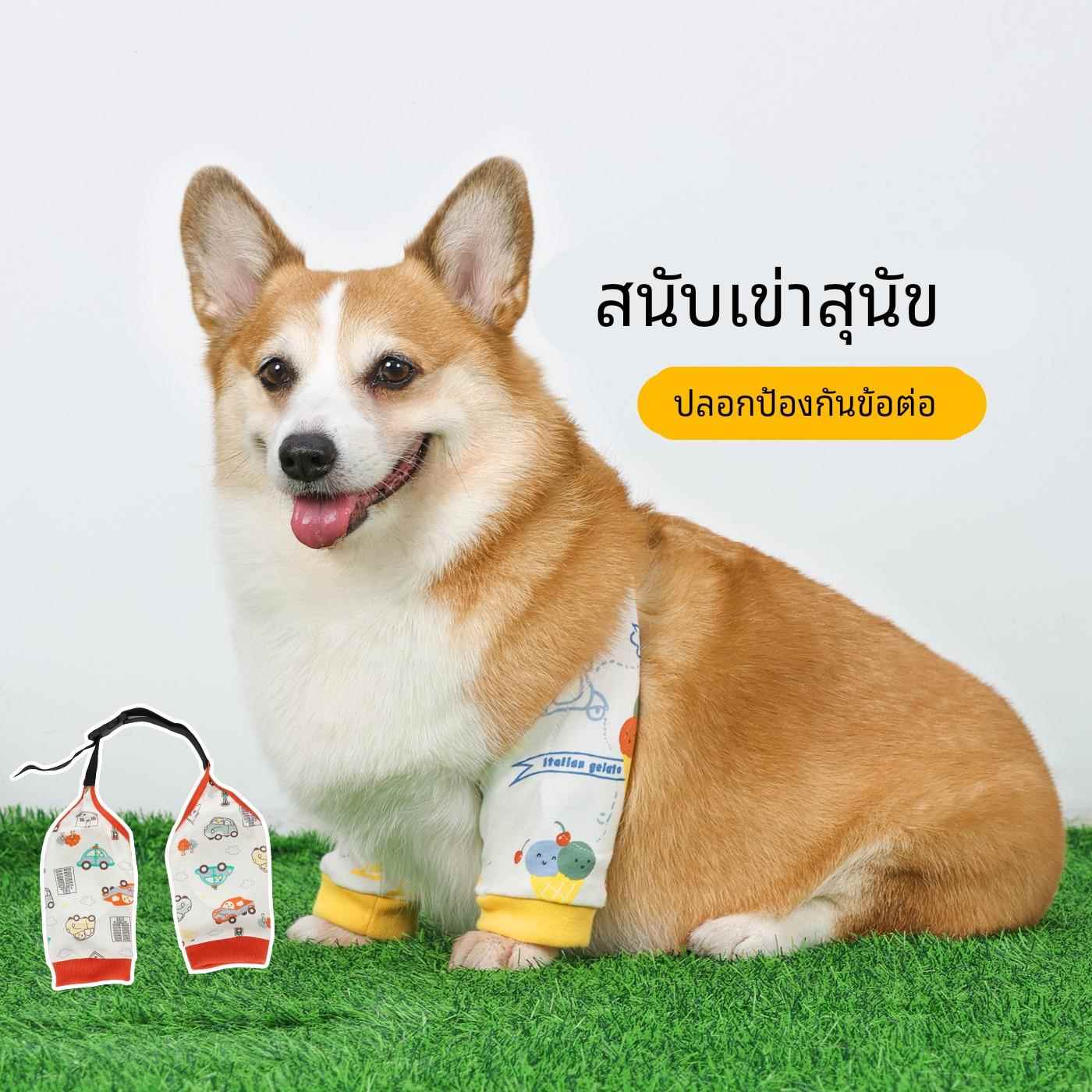 狗狗护肘关节套宠物护膝柯基柴犬关节衣袖套四季通用衣服防脏神器