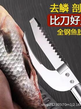 Stainless Steel Fish Scaler and Belly Slitter - 2-in-1 Multi