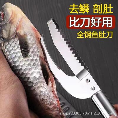Stainless Steel Fish Scaler and Belly Slitter - 2-in-1 Multi